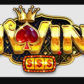 iwinjpnet